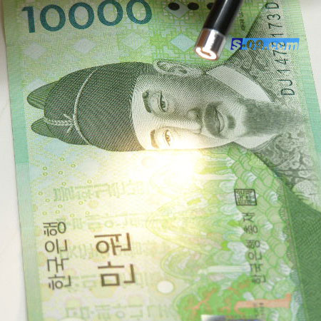 내시경(광학식)